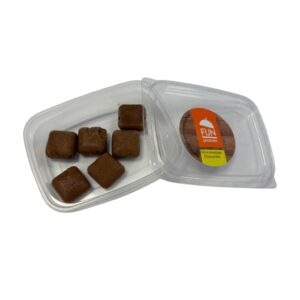 Ambachtelijke Fijnproevers chocolaatjes met unieke vorm en zachte structuur.